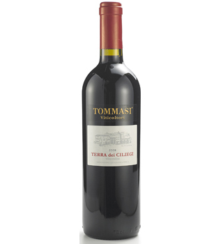 Tommasi-Terra-di-Ciliegi Tommasi-Terra-di-Ciliegi