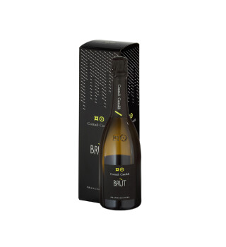 49 Contadi Castaldi Brut bottiglia